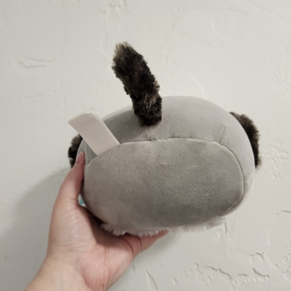 NWT Alfie The Poodle 8" Squishmallow First To Market Edition Rare - Picture 8 of 8